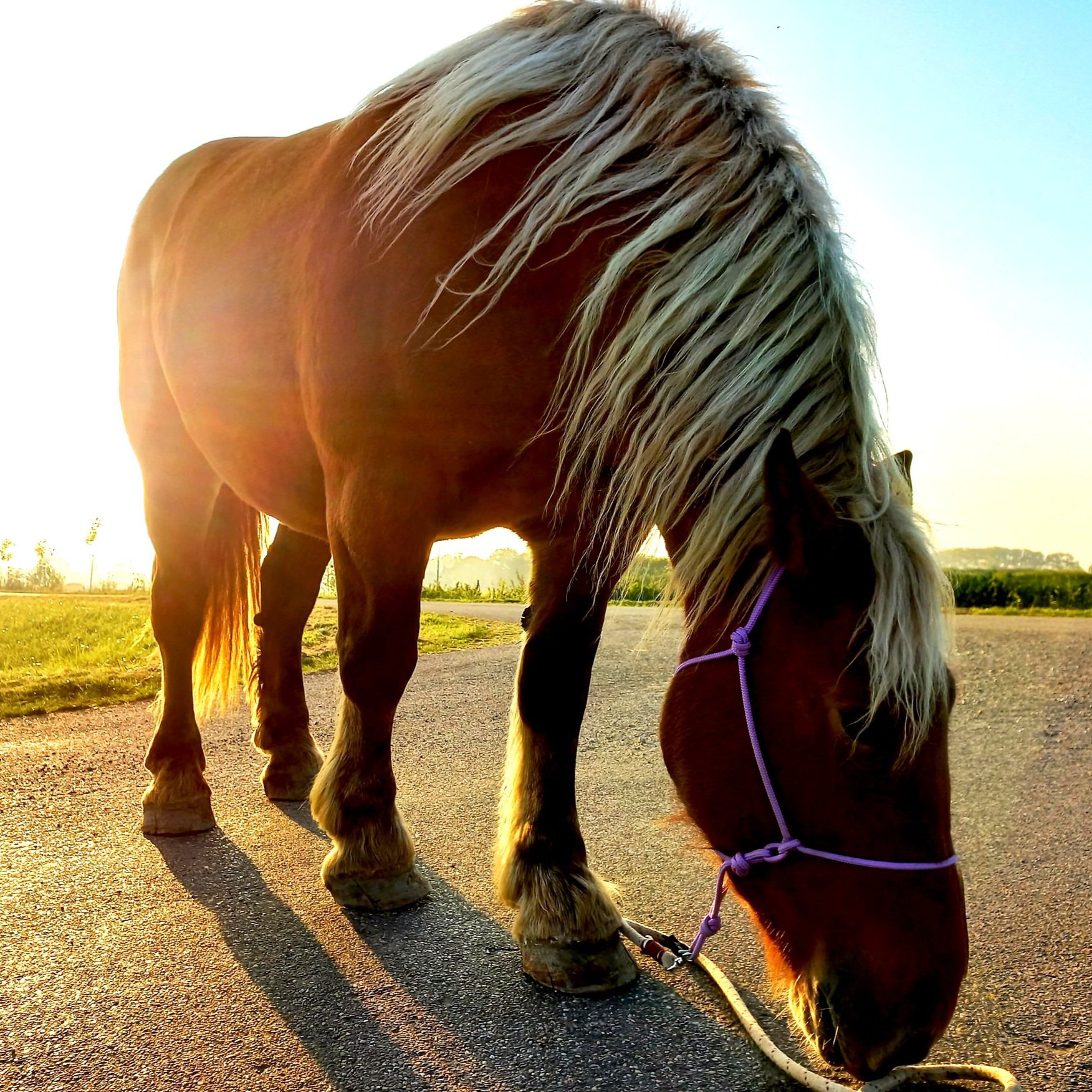 20211008_175819.jpg 20211008_175819.jpg