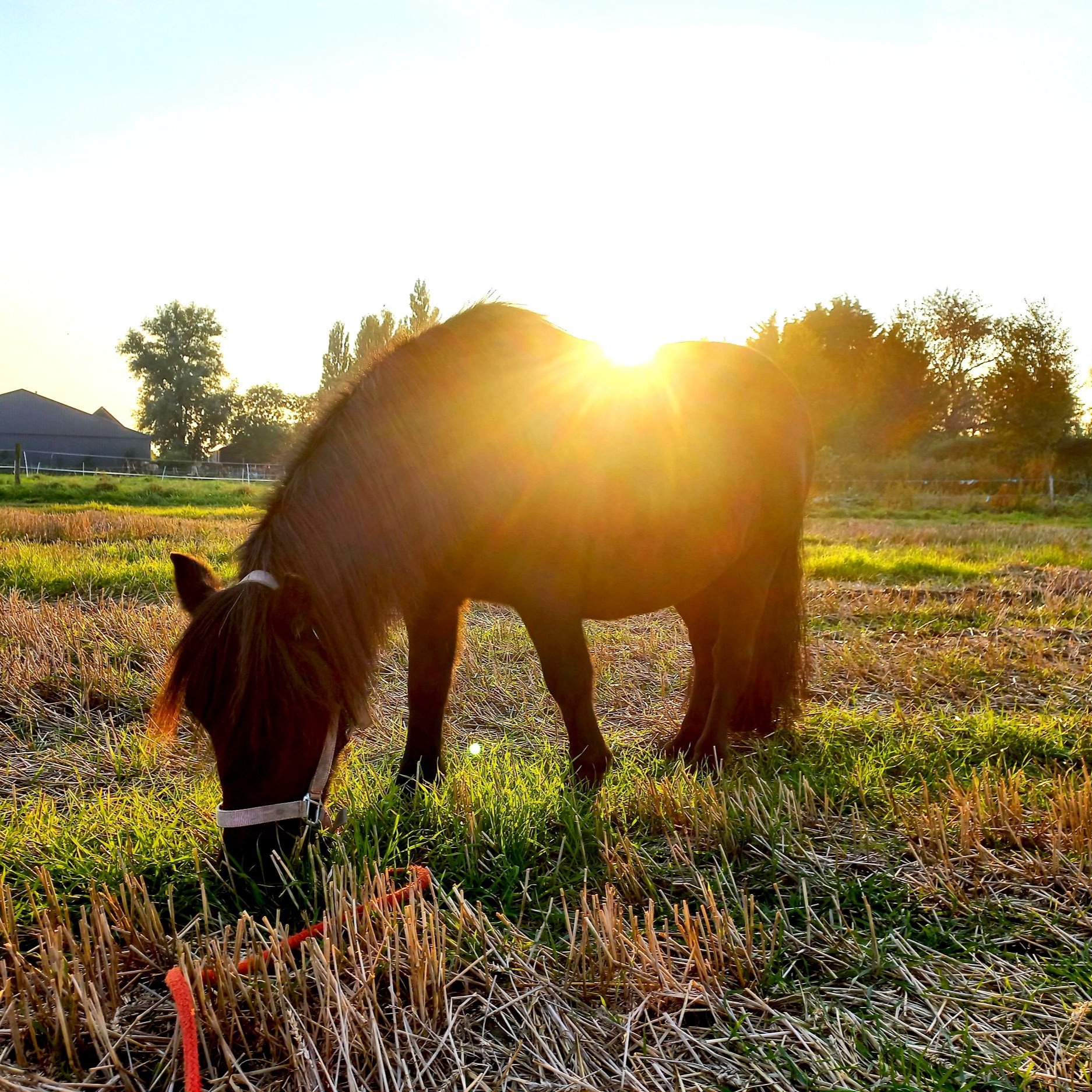 20211009_180530.jpg 20211009_180530.jpg