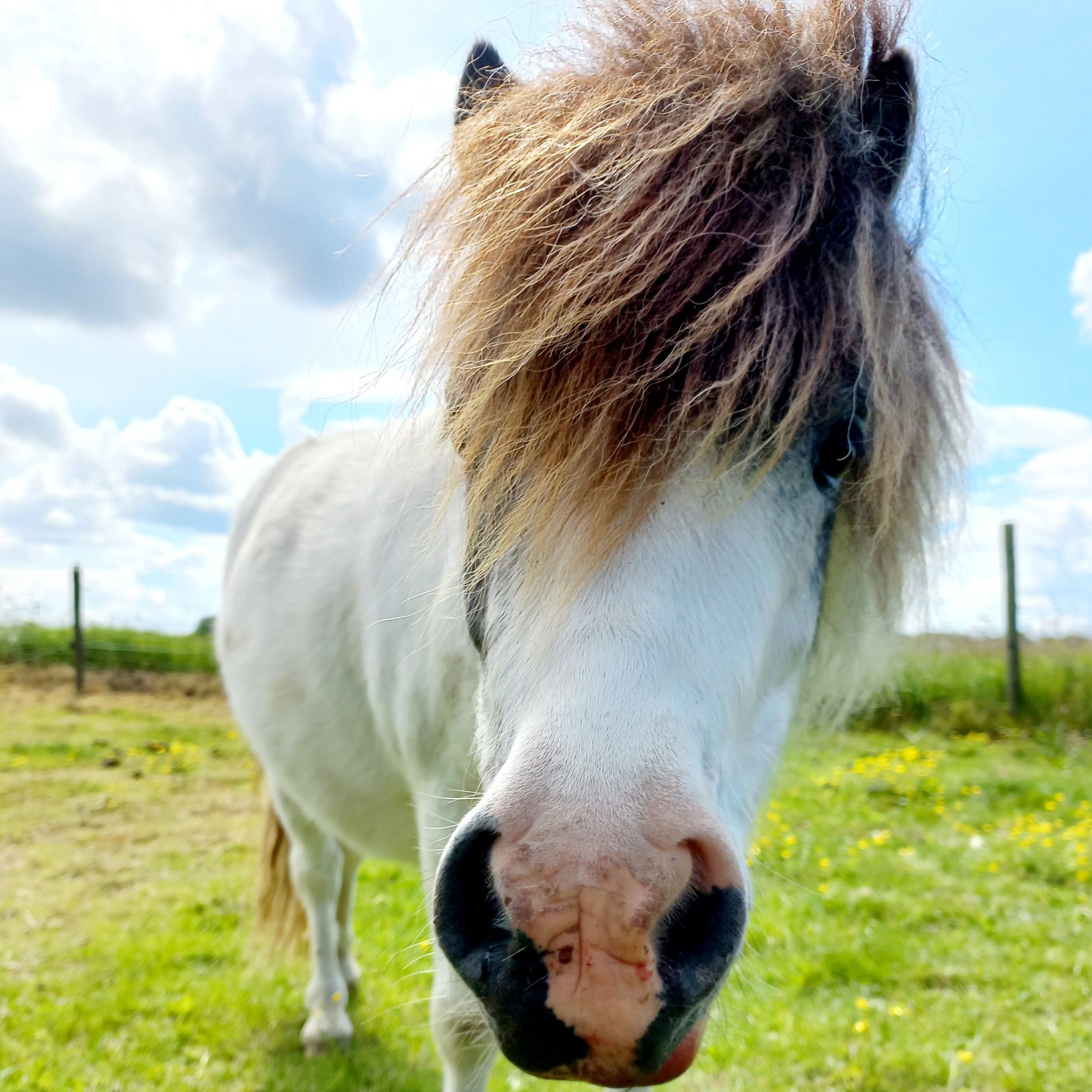 Mowglicute.jpg Mowglicute.jpg